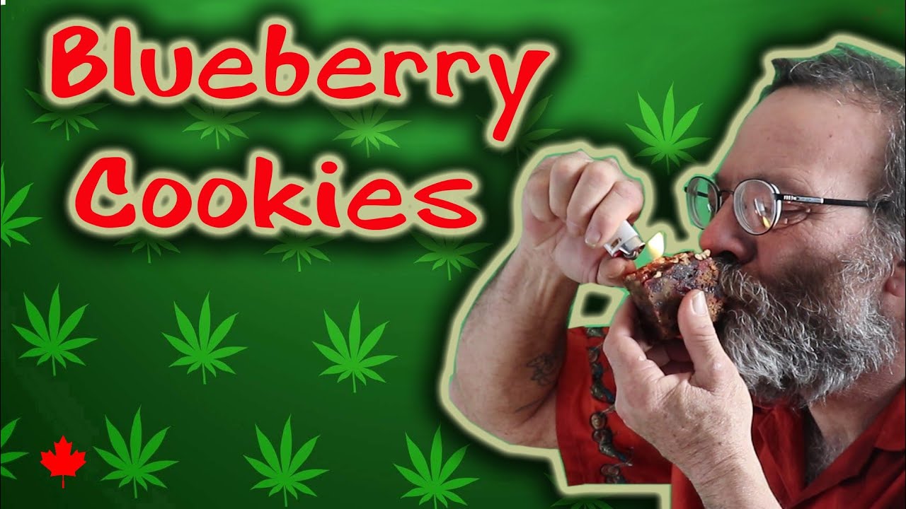 Pot Strains - Blueberry Cookies for a lighter stone