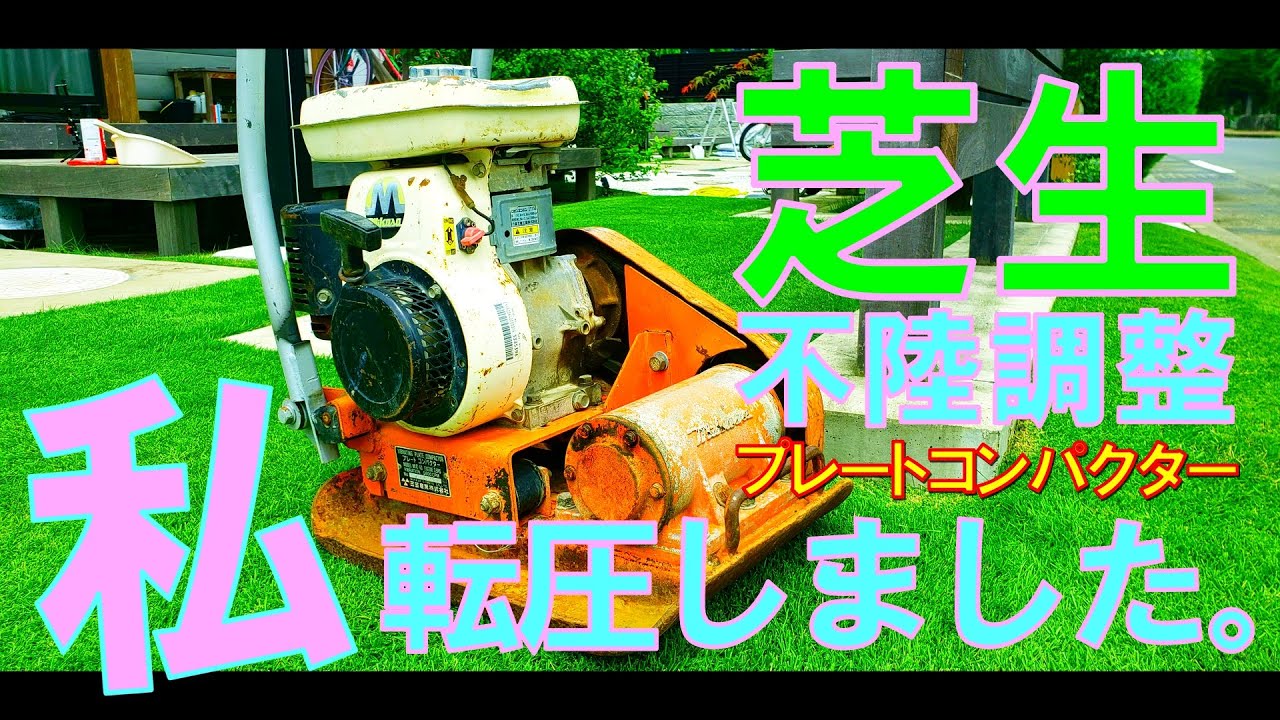 【芝生の転圧・不陸修正】プレートコンパクターで芝生の転圧を行いました。転圧ローラー以外の転圧をお考えの場合は選択肢に入るかも！