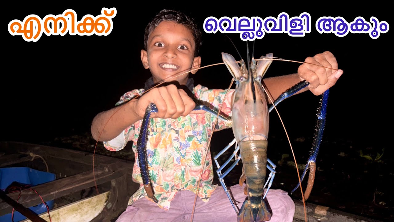 അങ്ങനെ എനിക്കൊരു പകരക്കാരൻ ആയി 
