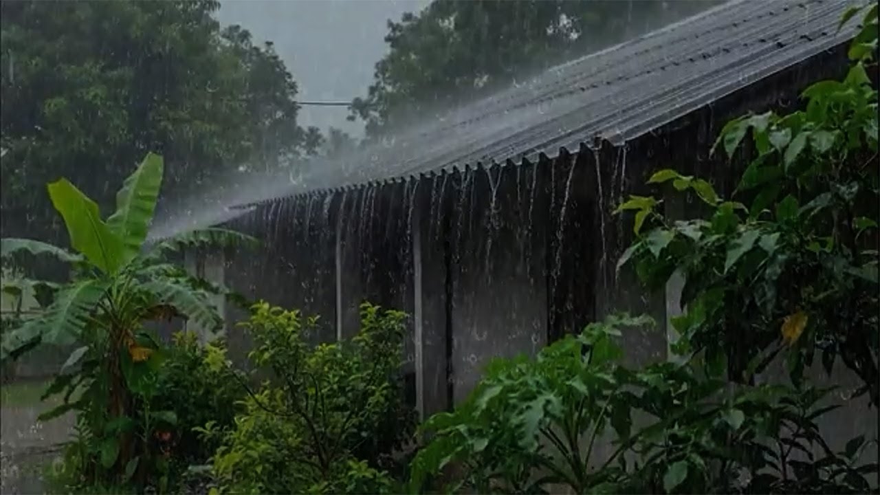 Relaxing Heavy Rain Sounds for Sleeping | Rain on Roof for Instant Sleep