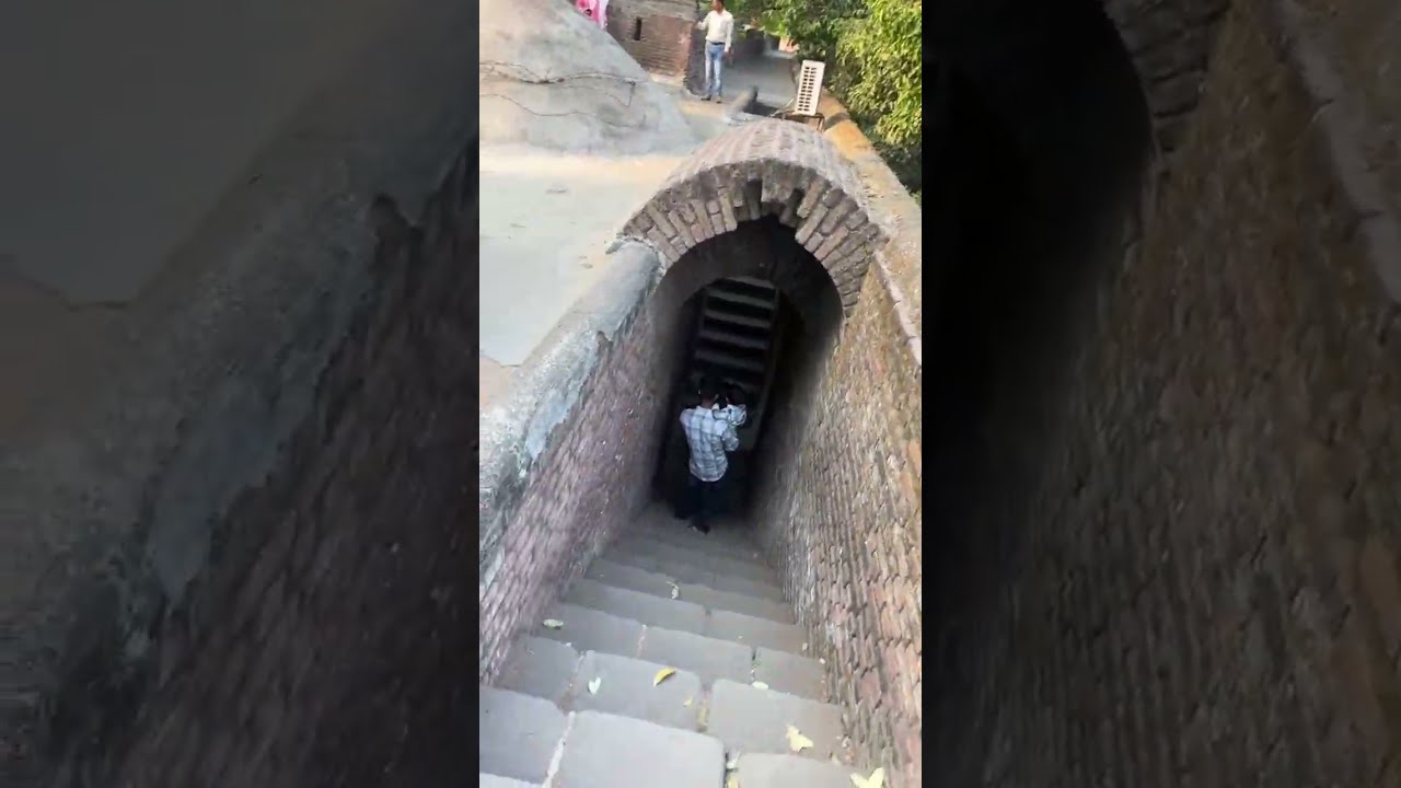 Sam Salman Qureshi is live
