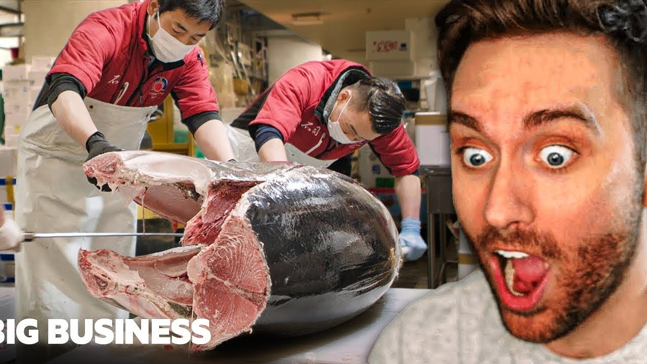 Atrioc Reacts to Why Bluefin Tuna Costs A Fortune