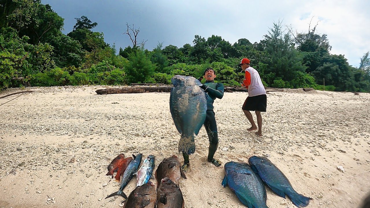#Eps 109 Panen ikan monster di kepulauan sula maluku utara #PART2 || Spearfishing Indonesia