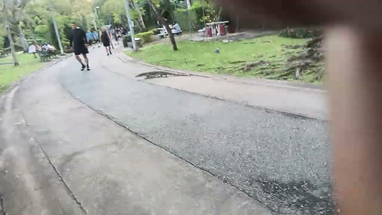 Lizard 🦎🦎🦎🦎🦎🦎🦎 