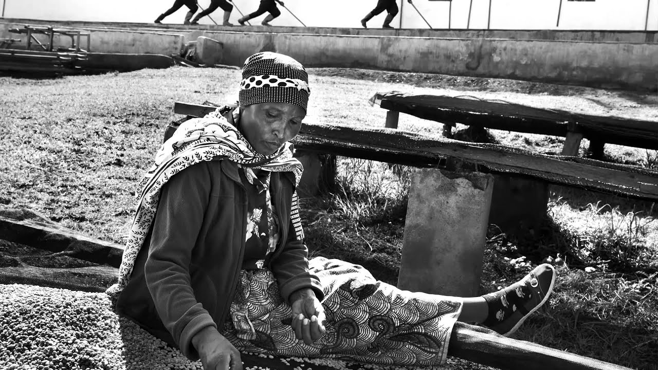 Profumo di Sogno. Sebastião Salgado e illycaffè:  la storia di un progetto condiviso