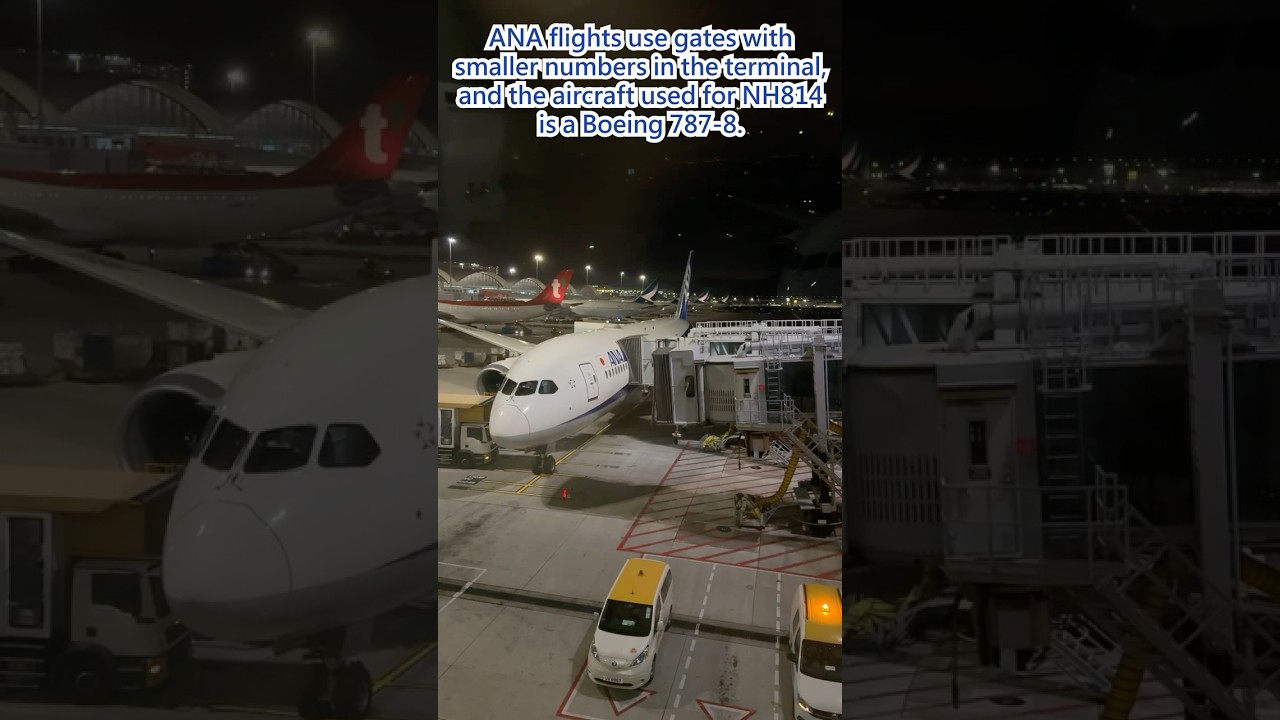First Try on Midnight Flight on ANA NH814 for Tokyo Haneda ANA814便東京羽田空港行きの初体験
