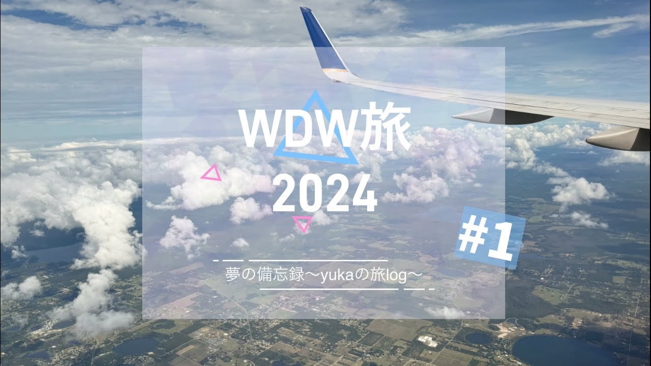 WDW旅2024【#1】〜Day0〜出発、そして波乱の入国審査