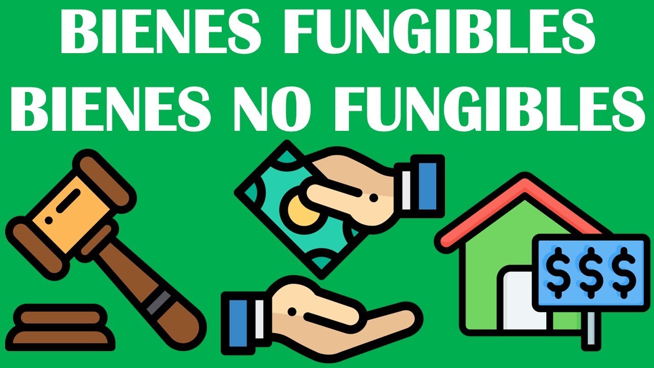 BIENES FUNGIBLES / BIENES NO FUNGIBLES / DERECHO CIVIL