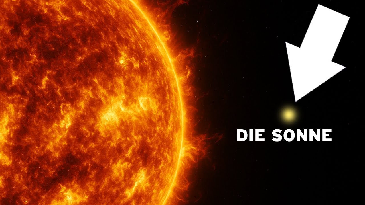 Das vollst&auml;ndige Bestiarium der Sterne: Jedes Feuergesch&ouml;pf, das das Universum f&uuml;llt - DOKU Weltraum