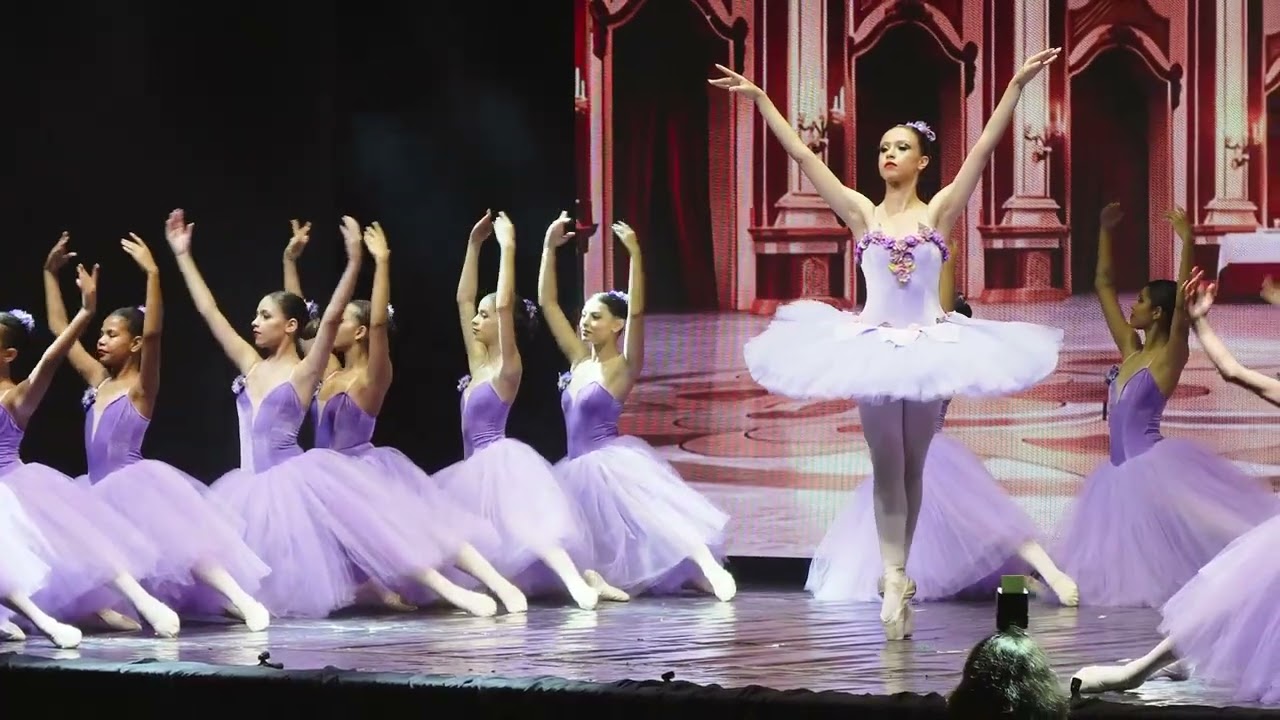 45º festival de dança “A Bela Adormecida nos Tempos Modernos”