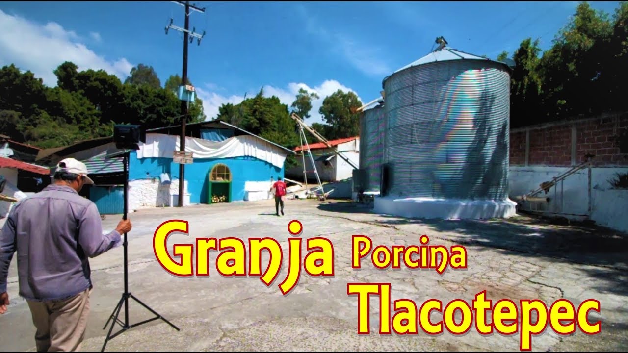 Granja Porcina Tlacotepec