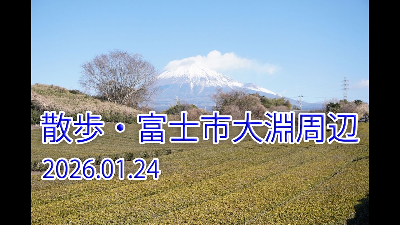 散歩・富士市大淵周辺 2026.01.24