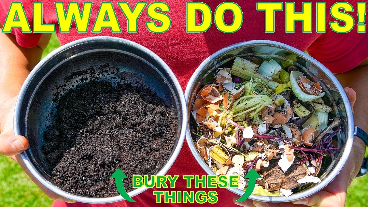 You'll NEVER Throw Away Kitchen Scraps Again After Watching This!