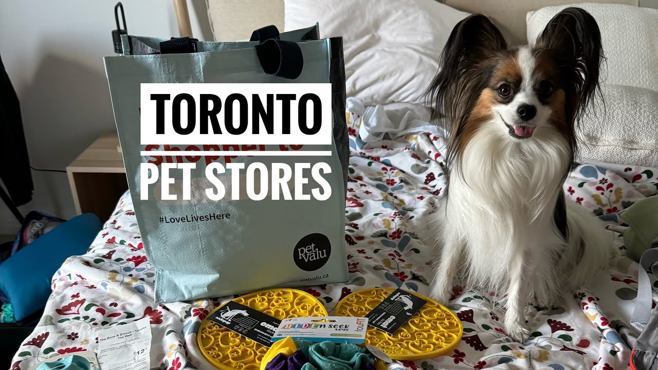 Toronto pet stores - Lojas pet Toronto