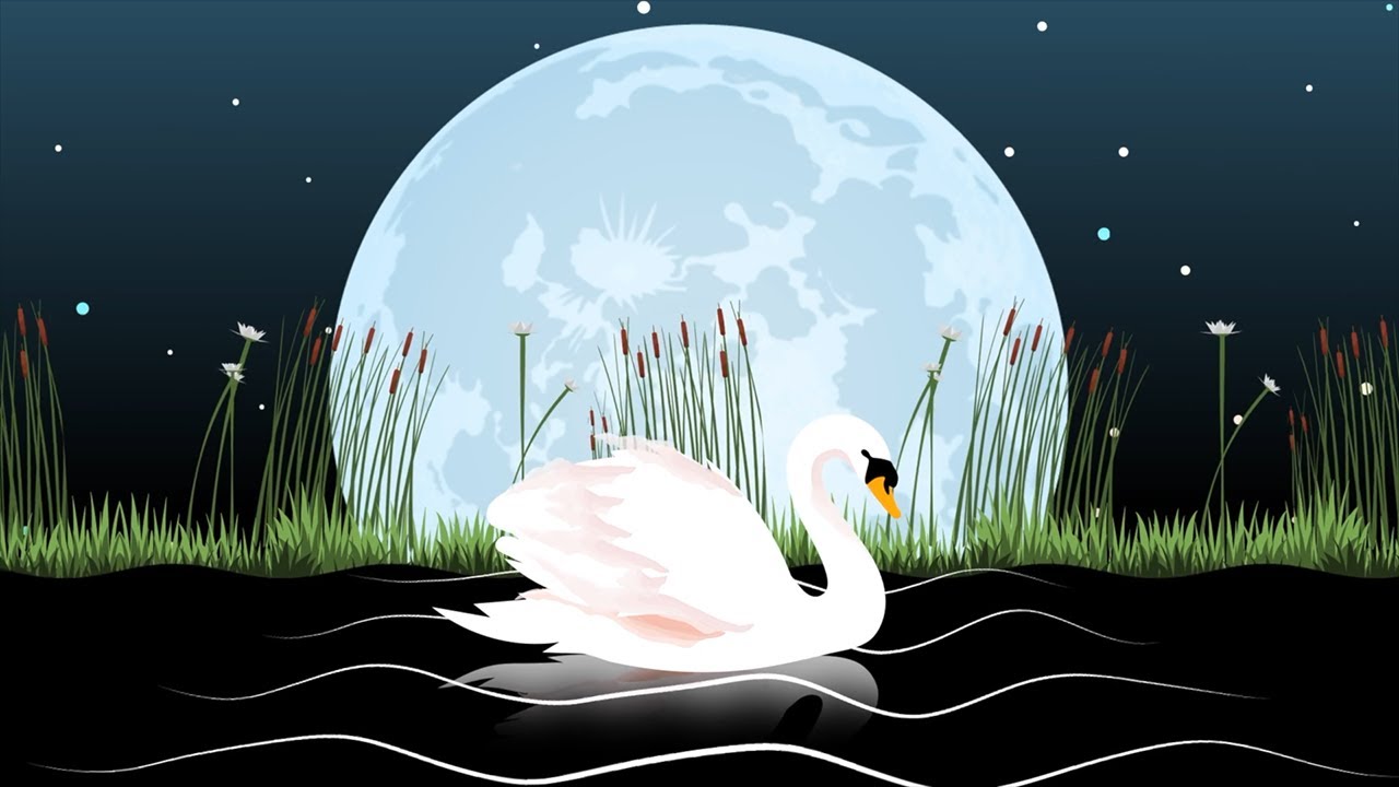The Carnival of the Animals: XIII. The Swan – Animated Music Video | Sharlene Hsu