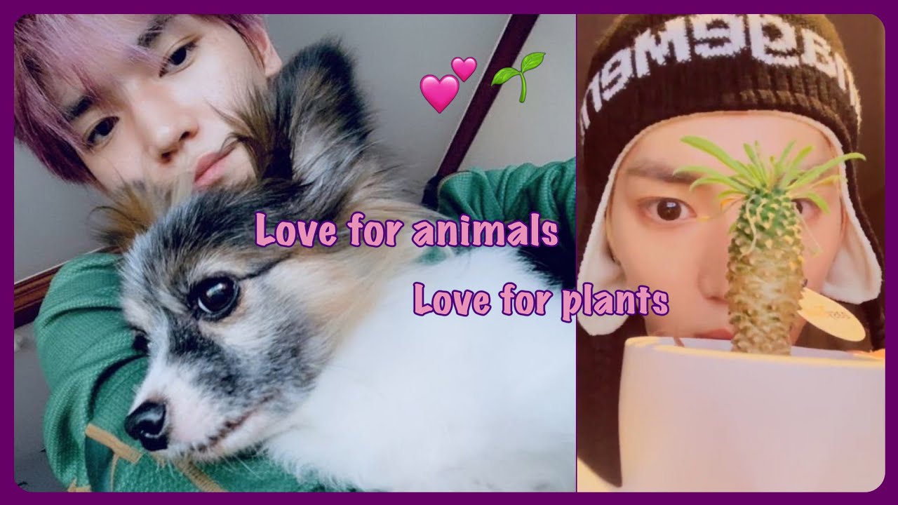 Taeyong being adorable with animals (and plants!) (part 3)