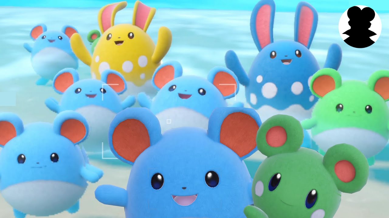 【Pokemon Camp】Azurill・Marill・Azumarill Evolution & Cute moments!＜Summer Cry sound＞