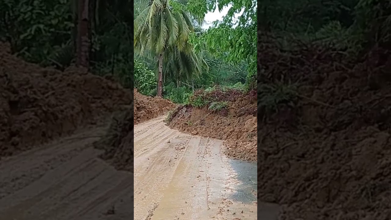 LANDSLIDE