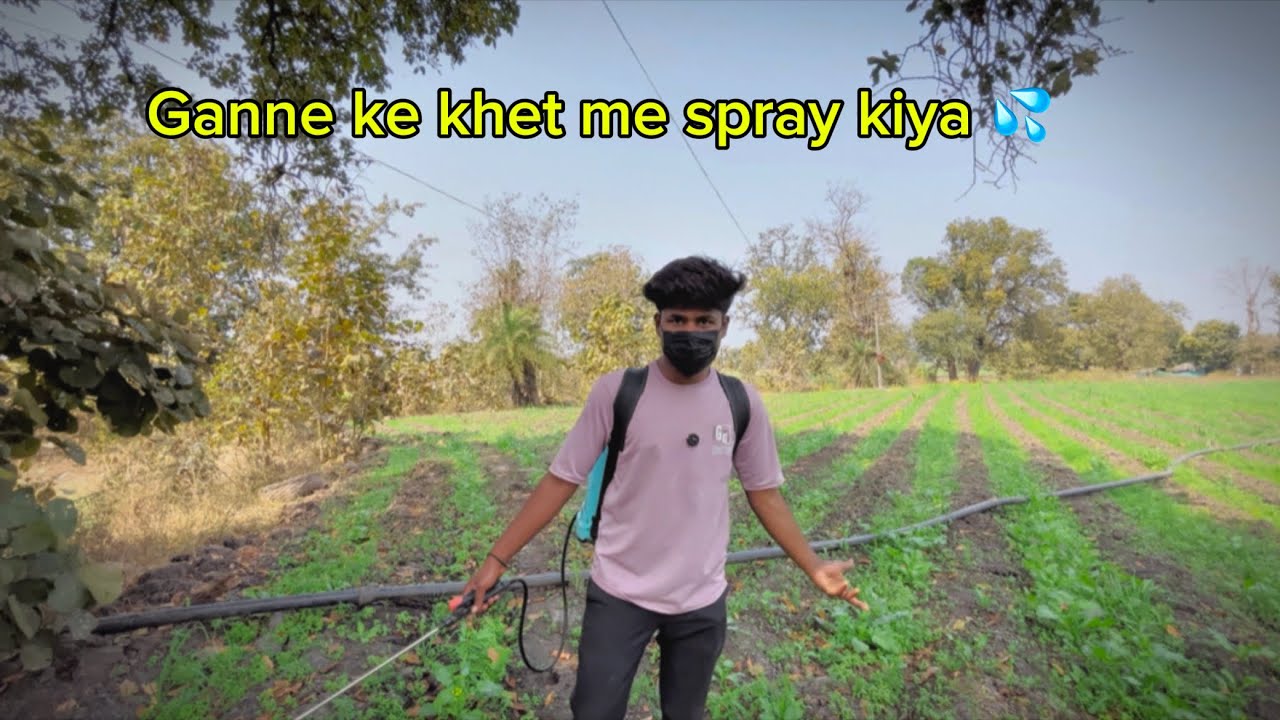 Ganne ke khet me spray kiya 🙏||@Akashwadiwa13 
