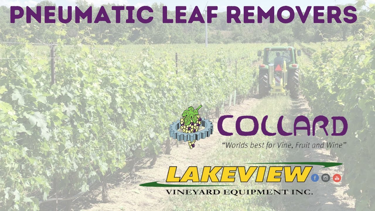 Collard Pneumatic Vineyard Leaf Removers