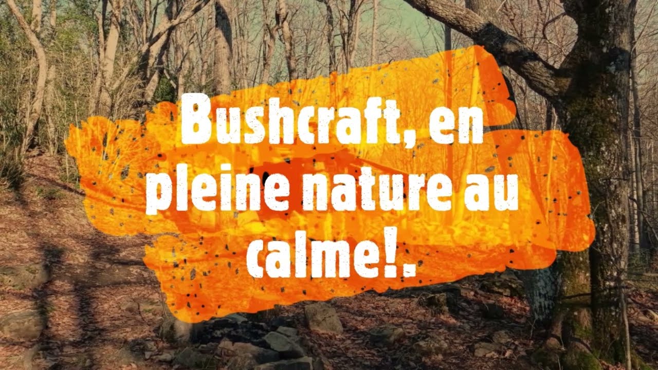 Bushcraft, en pleine nature au calme !.