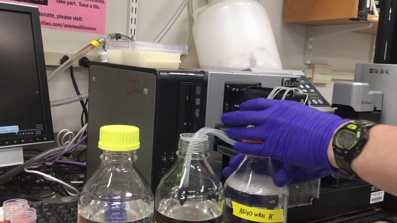 Guide: EL406 Biotek Plate Washer for ELISA Analysis