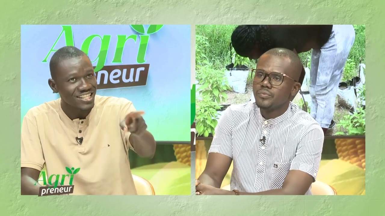 AgriPreneur: L'Agriculture comme solution au ch&ocirc;mage des jeunes.