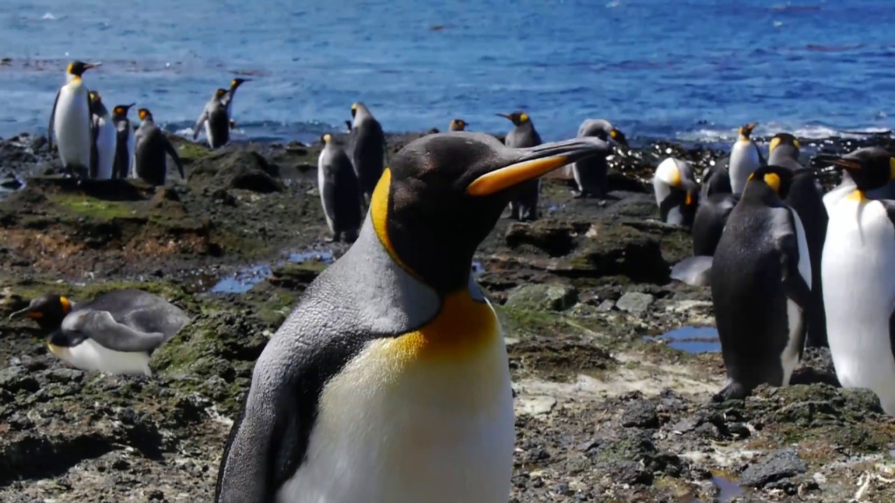Carnet de mission PROTEKER aux Kerguelen #00 Le voyage