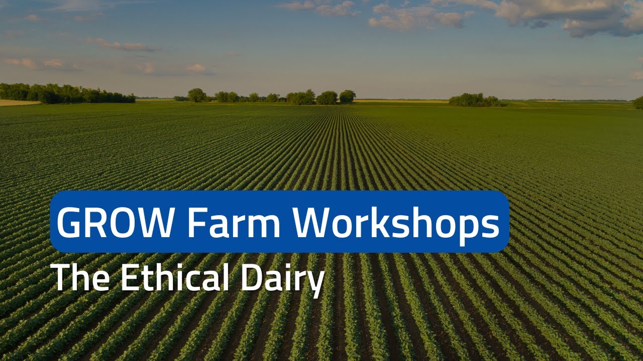 Ethical Dairy - A farm walk to Scotland | EIT Food Education