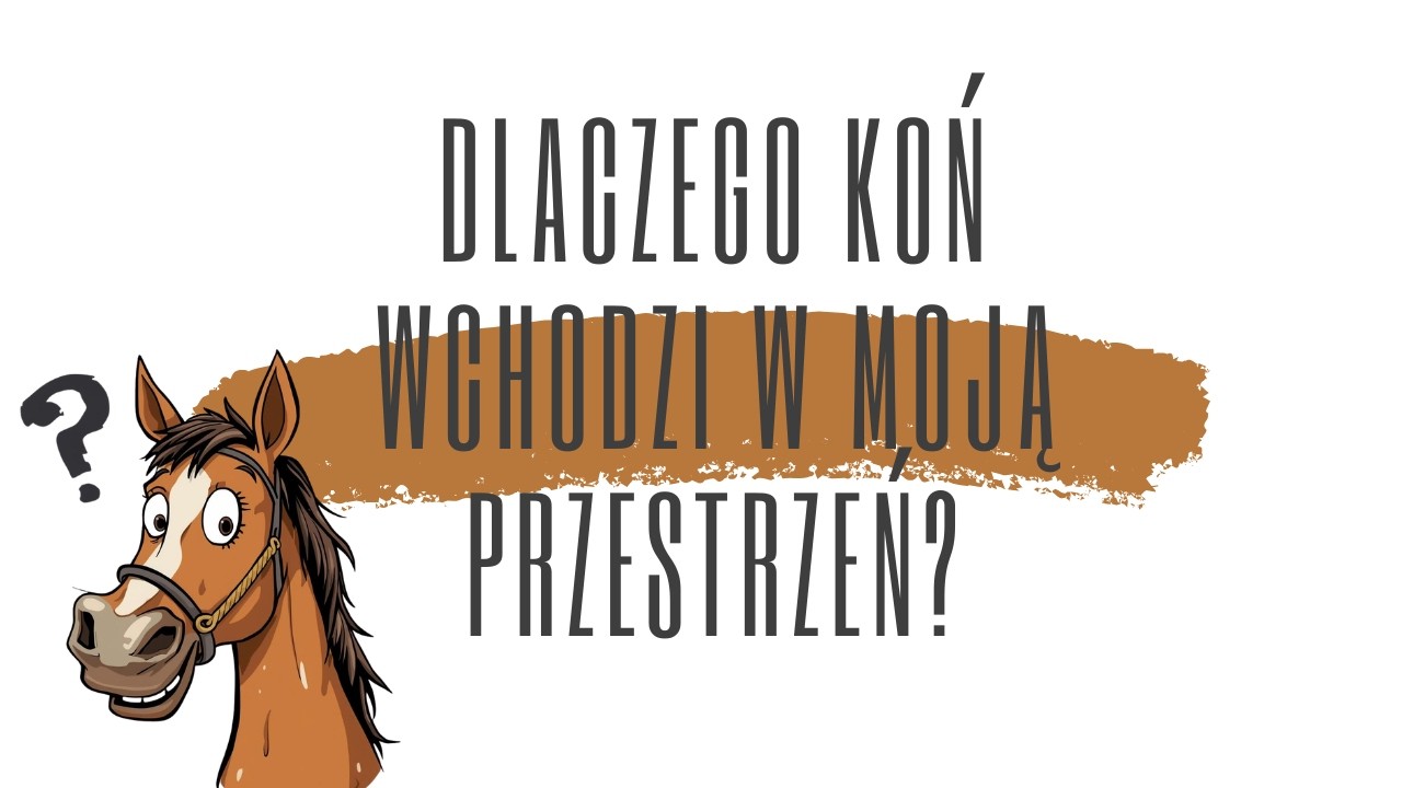 Dlaczego koń na Ciebie wchodzi?