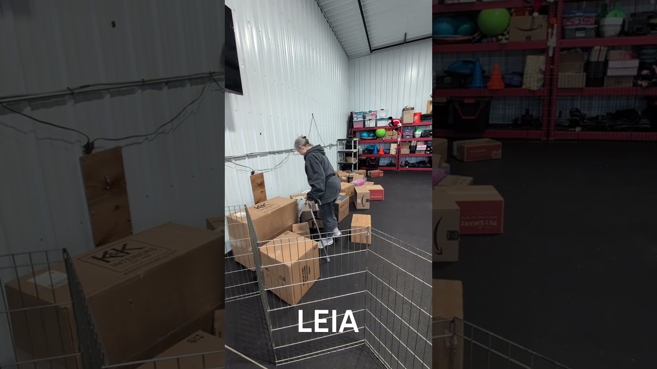 Box A Rat Level 2 (HR Winter League)