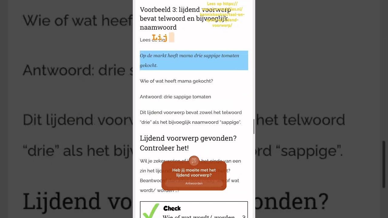 Loop je vast met zinsontleding? Het lijdend voorwerp vind je voortaan altijd! #onderwijs #education