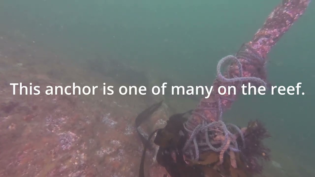The best shore dive in North Wales: The Menai Strait.