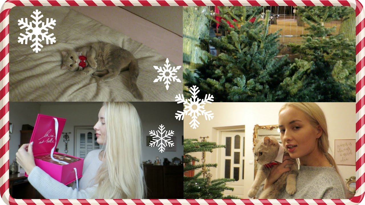 Vlogmas, day 7: GETTING MY CHRISTMAS TREE!
