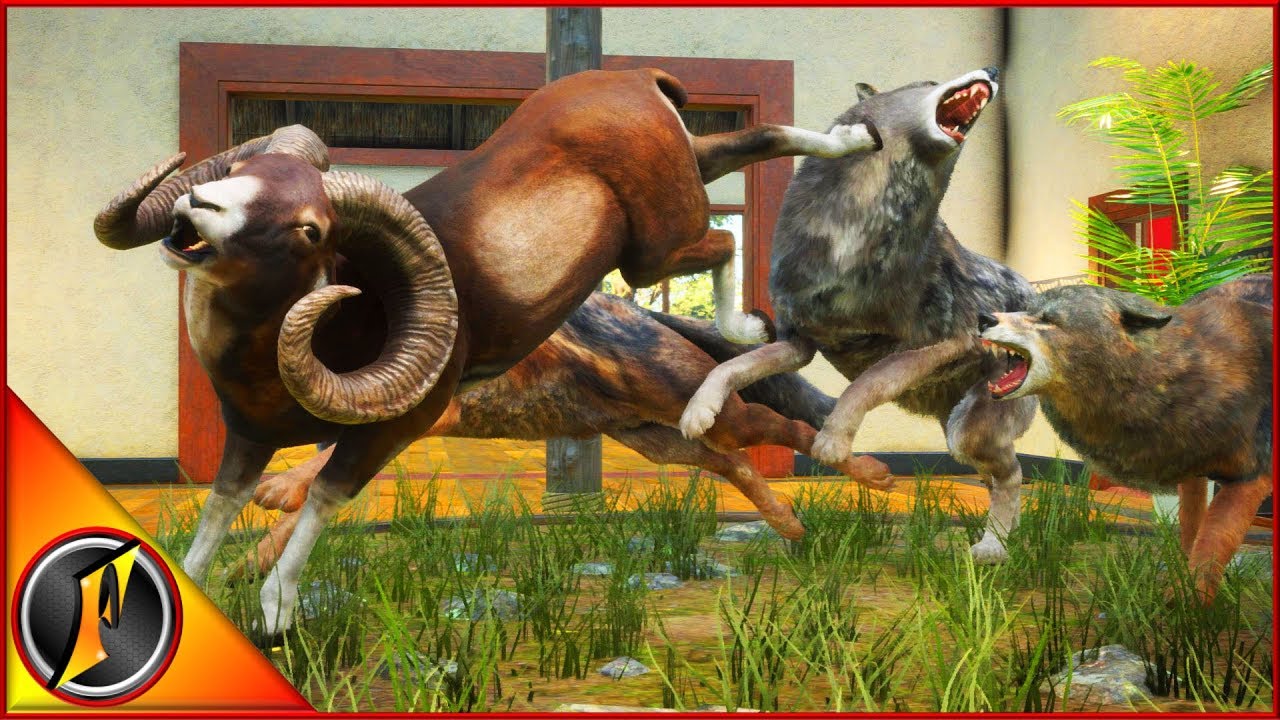Diamond Mouflon and More! | Cuatro Colinas Creator Weekend