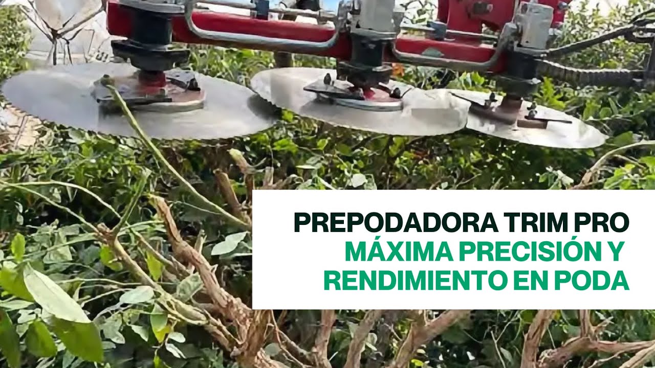 Prepodadora Trim Pro (Ar&aacute;ndanos) | Poda | LiTEC