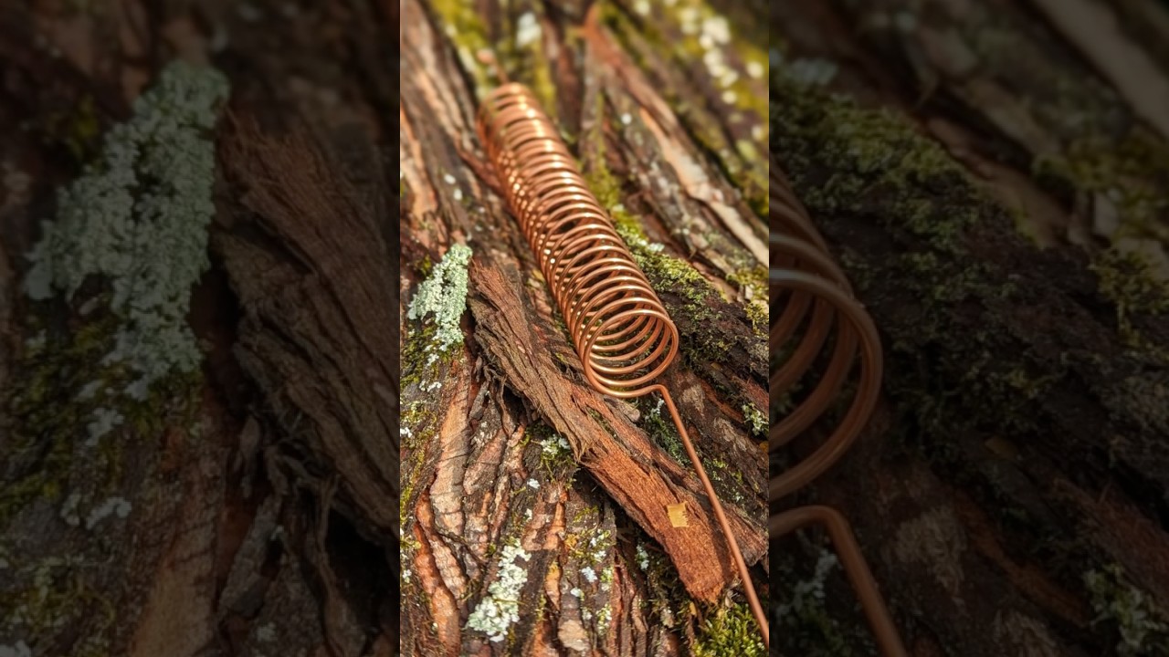 How to Build a Simple Copper Coil for a Thriving Garden ⁣#shorts