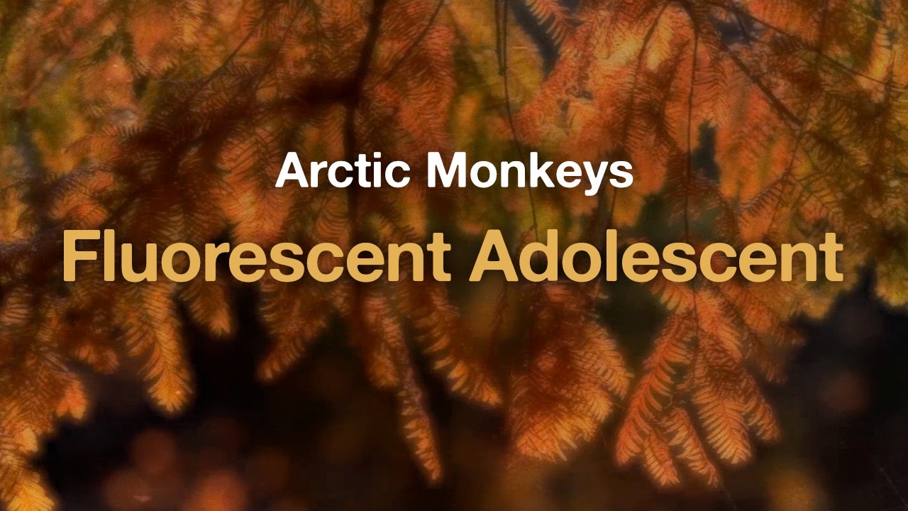 Arctic Monkeys - Fluorescent Adolescent (Lyrics)