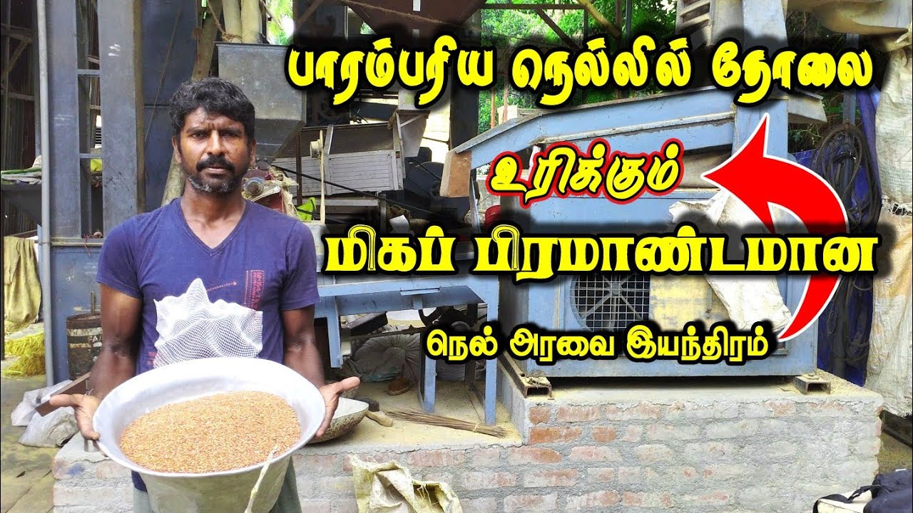 பாரம்பரிய நெல்லில் தோலை உரிக்கும் மிகப் பிரமாண்டமான நெல் அரவை இயந்திரம் || Er Kalappai