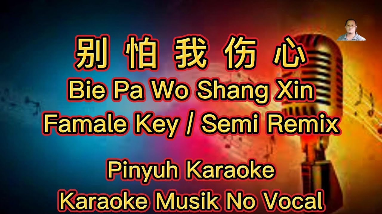 Bie Pha Wo Shang Xin  ~ 別怕我傷心 ~   Karaoke ~  Musik No Vocals