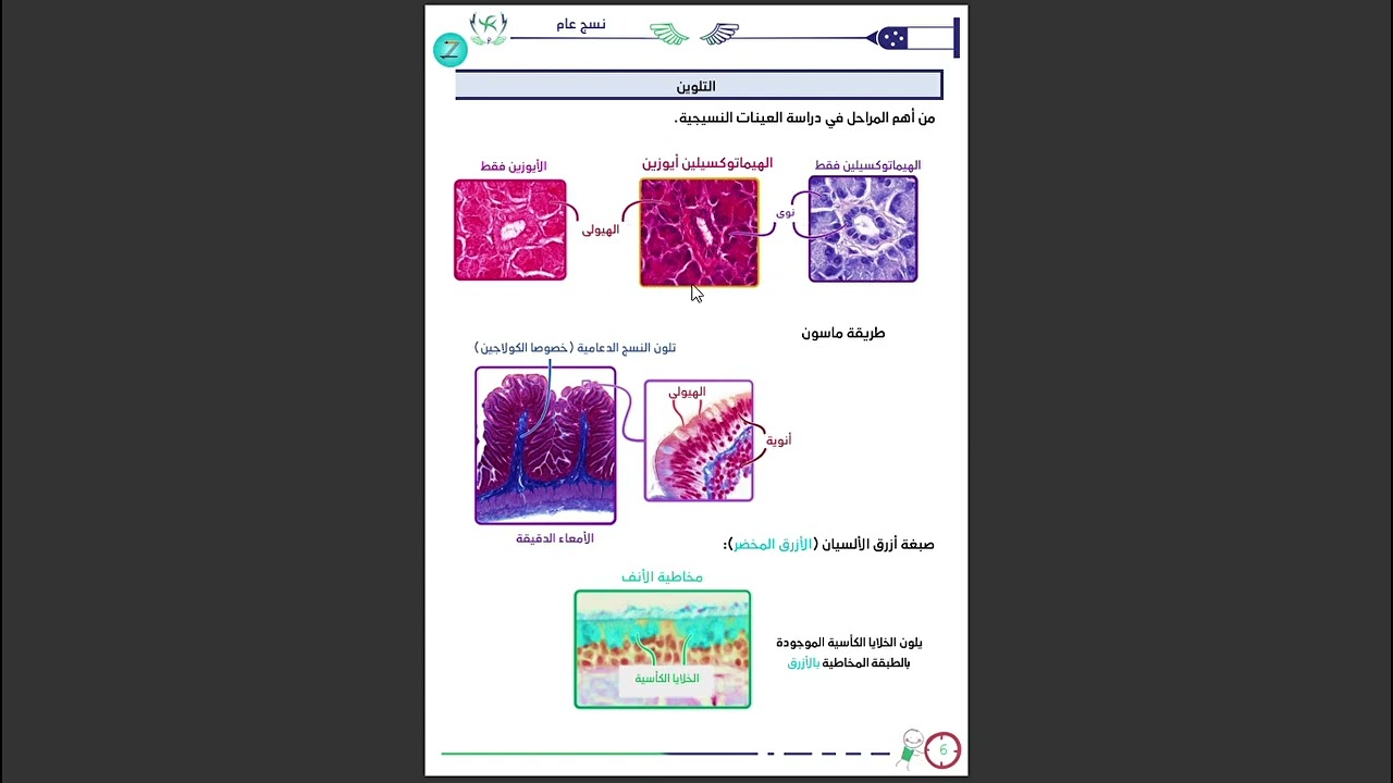 مقدمة كورس عملي النسج العام / د.عبد الرحمن دقوري