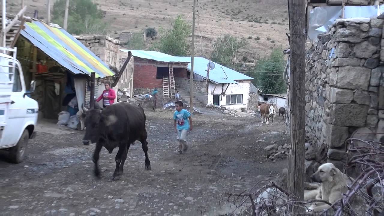 PELEGÖZ KÖYÜ - 7 (GÜZBULAK KÖYÜ)