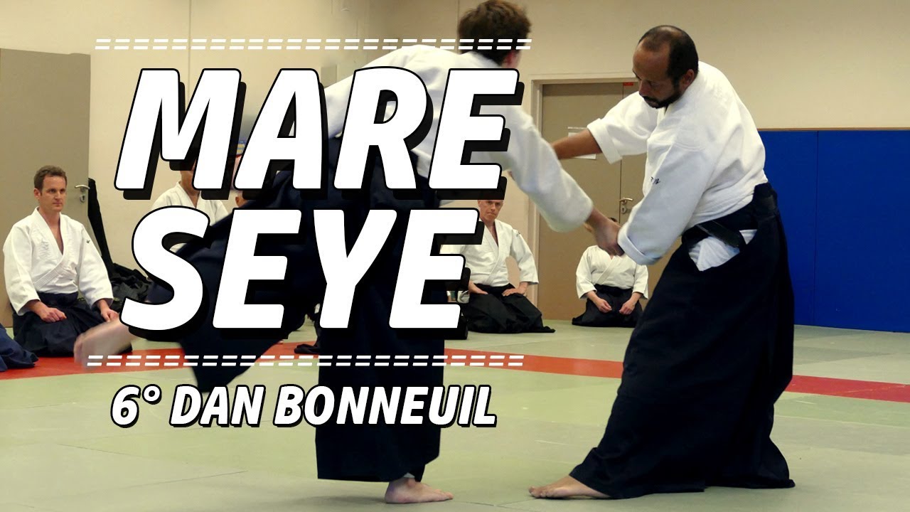 Mare Seye 6°dan Aïkido dojo Pascal Norbelly le 6 avril 2018