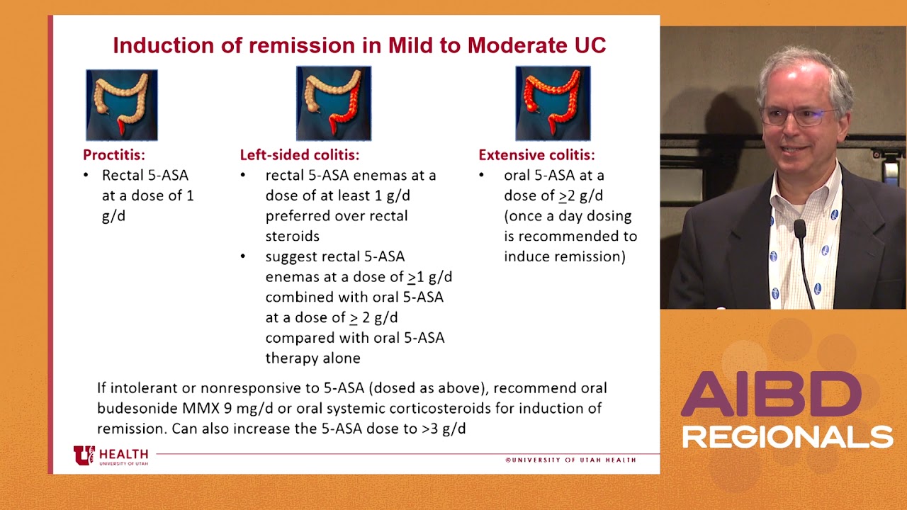 What Else is New in IBD: Updates From the Latest Guidelines