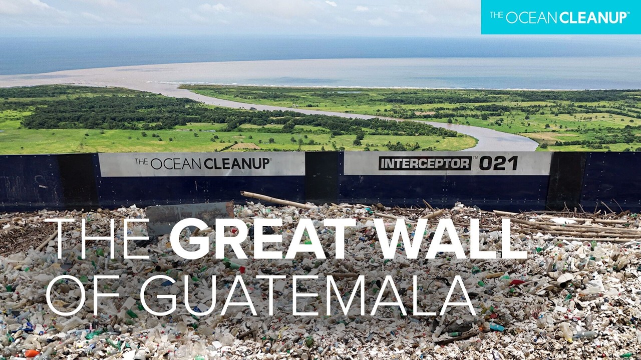 The end is in sight: stopping plastic pollution in the Gulf of Honduras