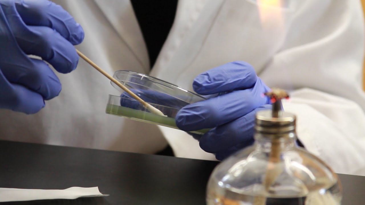 USciences Professor Licenses Beer Contamination Test