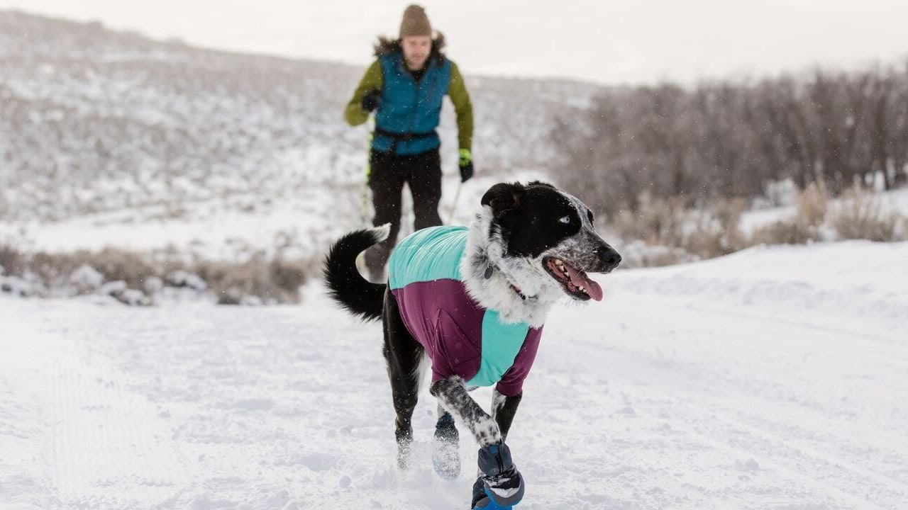 Innovative Insulation | Share More Winter Adventures With Your Dog