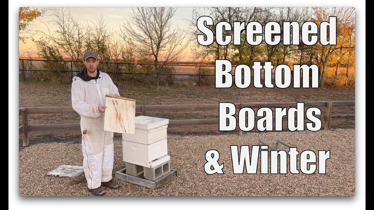 What to do with Screened Bottom Boards During Winter