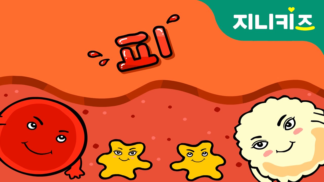 피는 누가 멈춰줘요? | 핏속 친구들 | 상처 치료하기 | 지니키즈★호기심 Why?