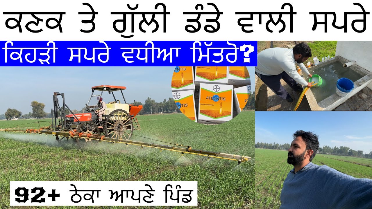ਸਾਡੇ ਏਰੀਏ ਦੇ ਠੇਕੇ ਇਸ ਵਾਰ ਵੀ ਵਧ ਗਏ 🙀 ਗੁੱਲੀ ਡੰਡੇ ਤੋਂ Atlantis ਸਪਰੇ ਕਿਵੇਂ ਆ ਮਿਤਰੋ ਕਣਕ ਦਬਾੳੇੁ ਕੇ ਨਹੀਂ 